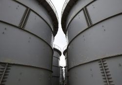 Central nuclear de Zaporiyia apaga último reactor para evitar desastre radiactivo
