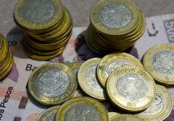 La inflación, sin dar tregua a los bolsillos; se ubicó en 8.76%