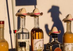 Celebra Ures primer Festival del Bacanora 2022