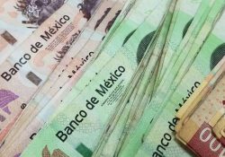 Corrupción, lastre para la democracia: informe del INE
