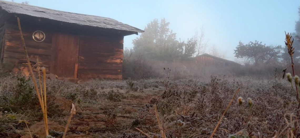 Llegó el frío a Sonora; primeras heladas en el sur y el termómetro marcó 0°C
