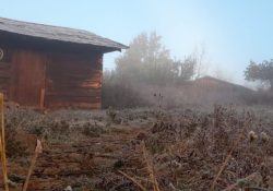 Llegó el frío a Sonora; primeras heladas en el sur y el termómetro marcó 0°C