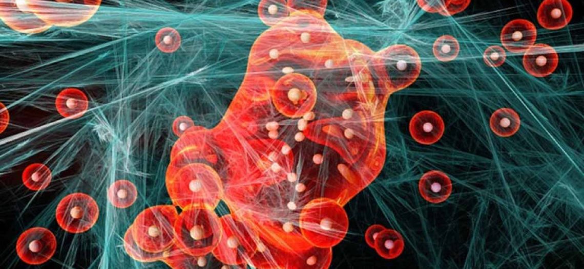 Descubren molécula capaz de prevenir la leucemia y otros tipos de cáncer