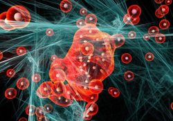 Descubren molécula capaz de prevenir la leucemia y otros tipos de cáncer