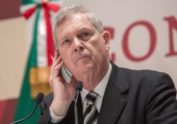 Amaga AMLO con recurrir a panel por maíz transgénico