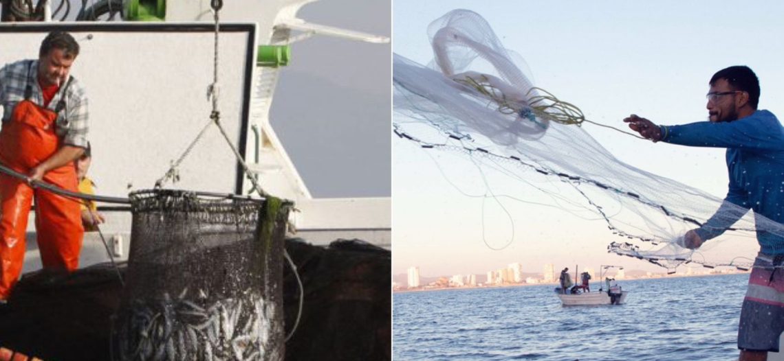 Destaca México la importancia de la pesca para su alimentación y economía