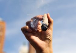 Nueva York entrega primeras 36 licencias para venta de marihuana