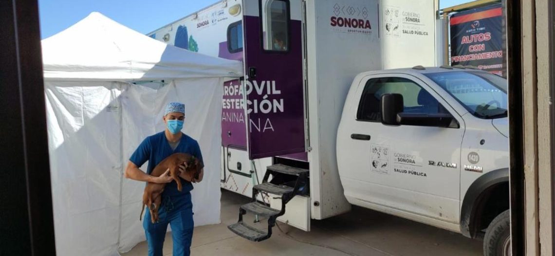 Lleva Salud Sonora jornada de salud animal a colonias de Hermosillo