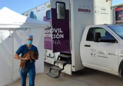 Lleva Salud Sonora jornada de salud animal a colonias de Hermosillo