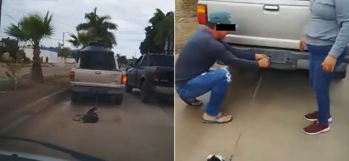 Denuncian indignante caso de maltrato animal en Empalme