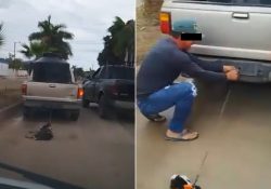 Denuncian indignante caso de maltrato animal en Empalme