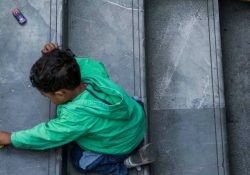 Niño de 6 años muere al ser atacado por su perro; FGJ-CdMx investiga el caso