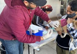 Lleva Salud Sonora Jornada de Salud Animal Canina y Felina a colonias de Hermosillo