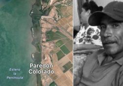 Pescador muere luego de ser atacado por tiburón blanco en aguas del Paredón Colorado