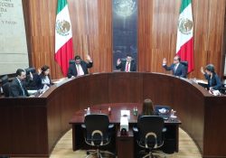 Castiga TEPJF a 39 políticos de Morena; catálogo tiene 50 penalizaciones