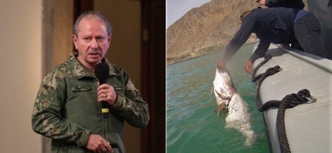 Golpea la Semar al “Cártel de la totoaba”; se ha desarticulado, dice el titular de SEMAR
