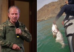 Golpea la Semar al “Cártel de la totoaba”; se ha desarticulado, dice el titular de SEMAR