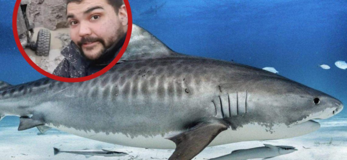 Hallan en el estómago de un tiburón restos de hombre desaparecido en Argentina