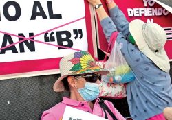 Entra en vigor el plan B electoral en el Diario Oficial; lluvia de quejas