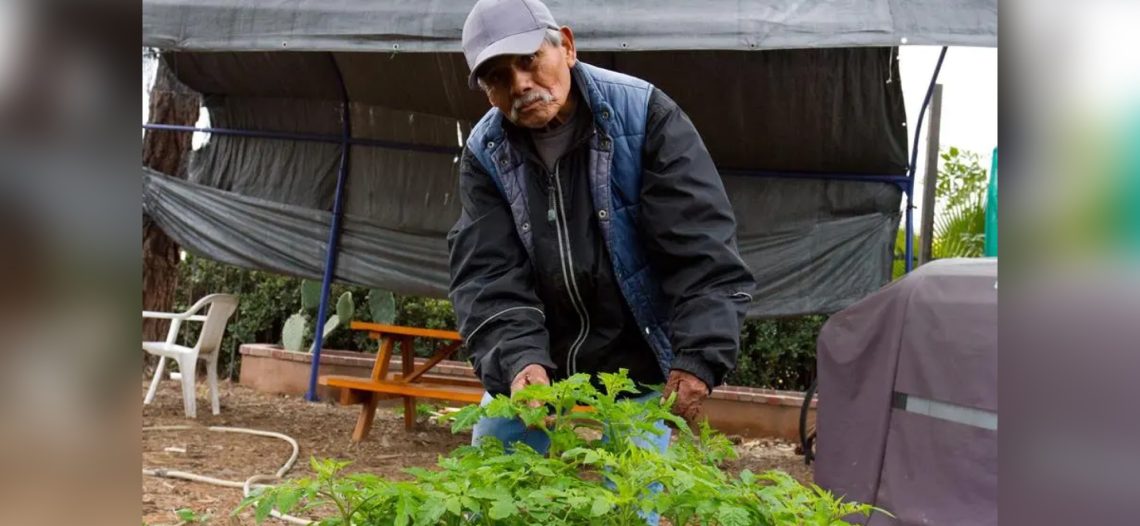 Empresa que robaba salario a mexicanos es de Nogales, Sonora