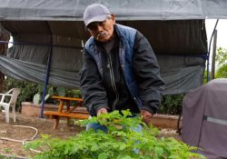 Empresa que robaba salario a mexicanos es de Nogales, Sonora