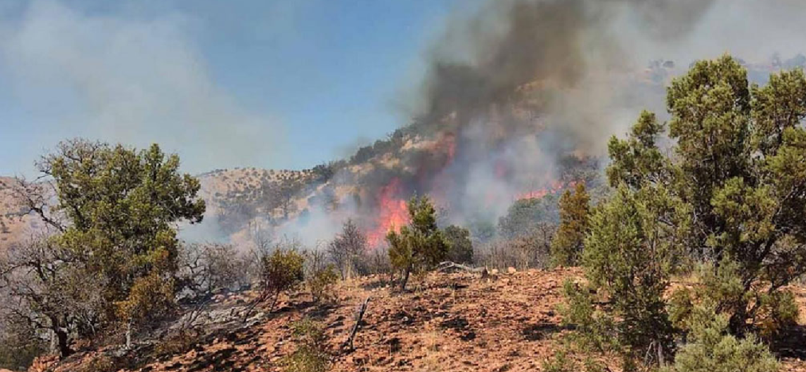 Protección Civil Sonora llama a no tirar bachas de cigarro en carreteras; han atendido 16 incendios forestales desde inicio de temporada