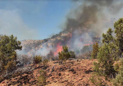 Protección Civil Sonora llama a no tirar bachas de cigarro en carreteras; han atendido 16 incendios forestales desde inicio de temporada
