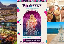 San Carlos se encuentra en Eufórico La causa: un evento que promete una gran noche VINOFEST 2023