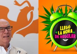 Ahora es Dante Delgado quien propone “regular” la mariguana