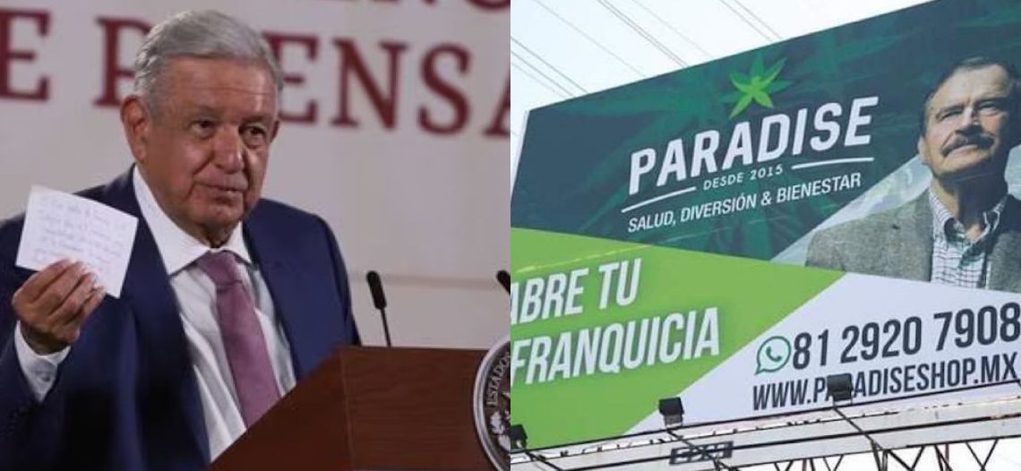 Fox y familiares acapararon 63 permisos para la venta de cannabis