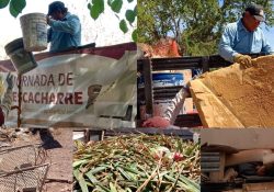 Continúa jornada de descacharre con atención a colonias; recolectan 4.8 toneladas de “cacharros”