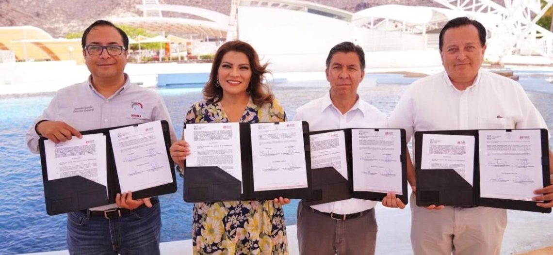Abre Gobierno de Sonora registro para Delfinoterapias 2023