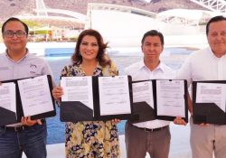 Abre Gobierno de Sonora registro para Delfinoterapias 2023