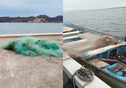 Asegura la Semar artes de pesca en este puerto