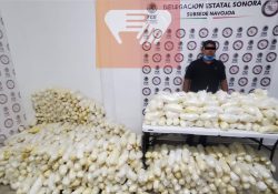 Aseguran casi una tonelada y media de paquetes con metanfetamina