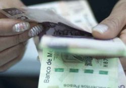 Las Pymes siguen sosteniendo al país