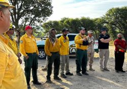 Controlan al 100% incendio forestal en Bacoachi y Nacozari