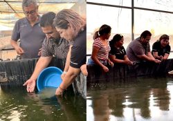 Mujeres egresadas de la Universidad del Bienestar, desarrollan granja integral de peces