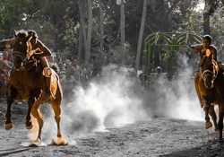 Perdió su caballo y disparó a los asistentes a la carrera; mató a 4