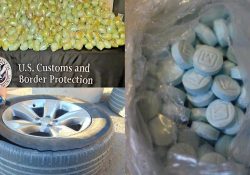 Aseguran 1 millón 200 mil pastillas de fentanilo en frontera Sonora-Arizona