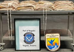 Aseguran en Nogales Arizona mas de 100 kilos de buche de Totoaba, con valor de mas de 2 millones de dólares en el mercado negro.