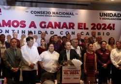 Morena anunciará a su candidato en 3 meses