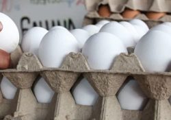 Precios de canasta alimentaria dan respiro a las familias