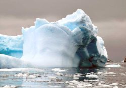 Emergencia climática: hielo de la Antártida, en su nivel más bajo