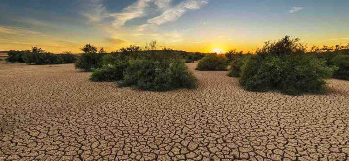 Nigeria declara estado de emergencia por escasez de alimentos
