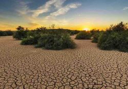 Nigeria declara estado de emergencia por escasez de alimentos