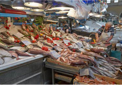 Hong Kong prohibirá importaciones de productos marinos de Japón si libera agua nuclear