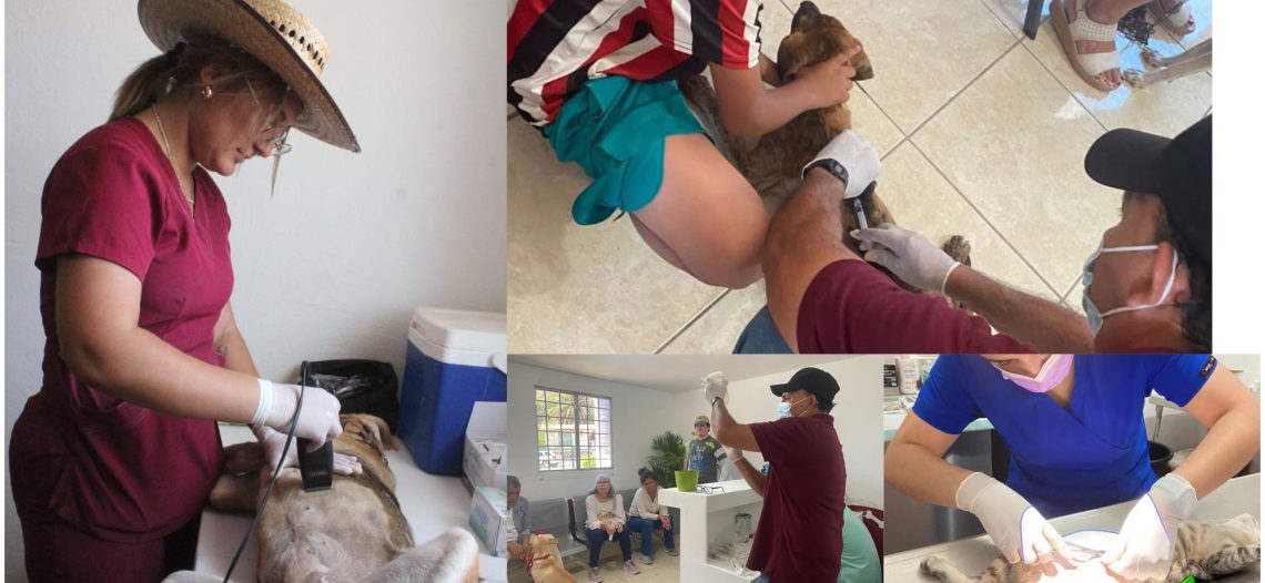 Mantiene Centro de Atención Canina y Felina servicios gratuitos.