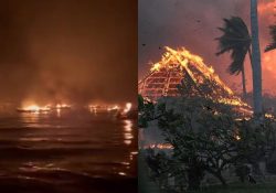 Aumentan a 55 muertos en Hawái por los incendios forestales