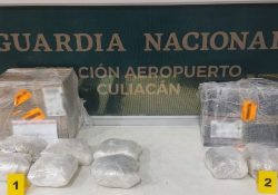 La GN asegura droga en Culiacán